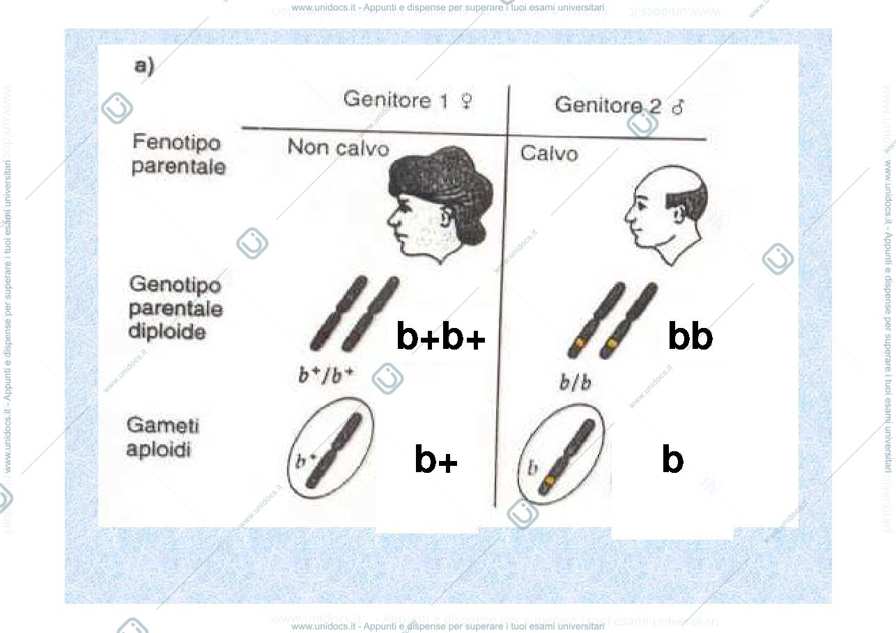 Anteprima pagina 3 — geni ed ambiente
