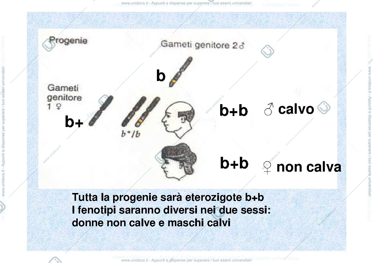 Anteprima pagina 4 — geni ed ambiente