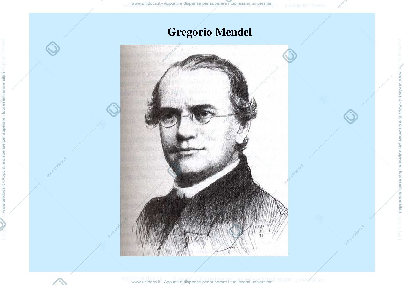 Anteprima pagina 1 — mendel