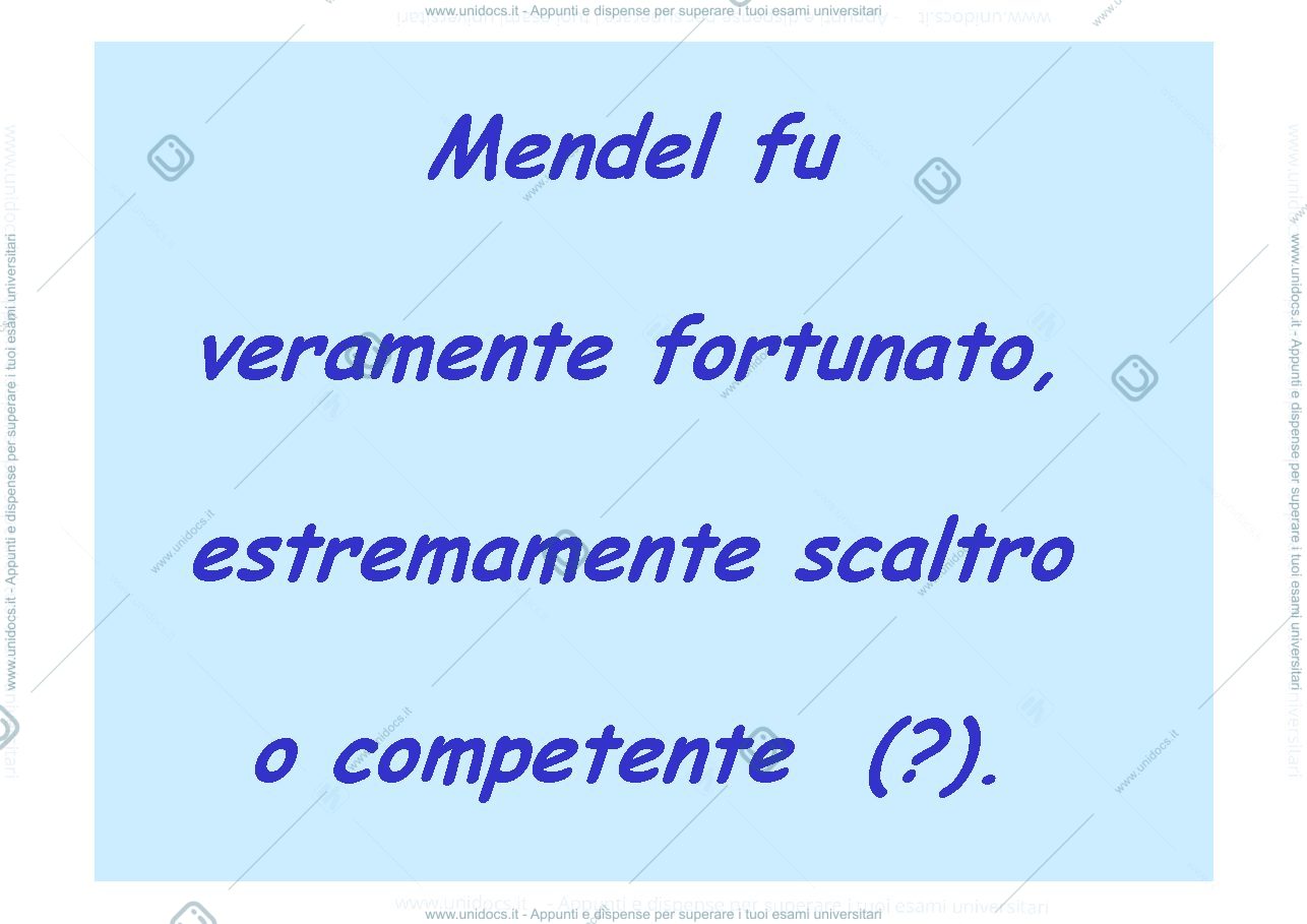 Anteprima pagina 3 — mendel