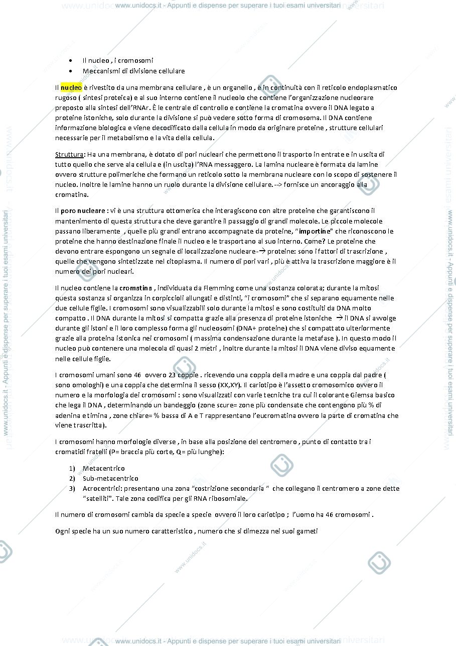 Anteprima pagina 1 — Il nucleo