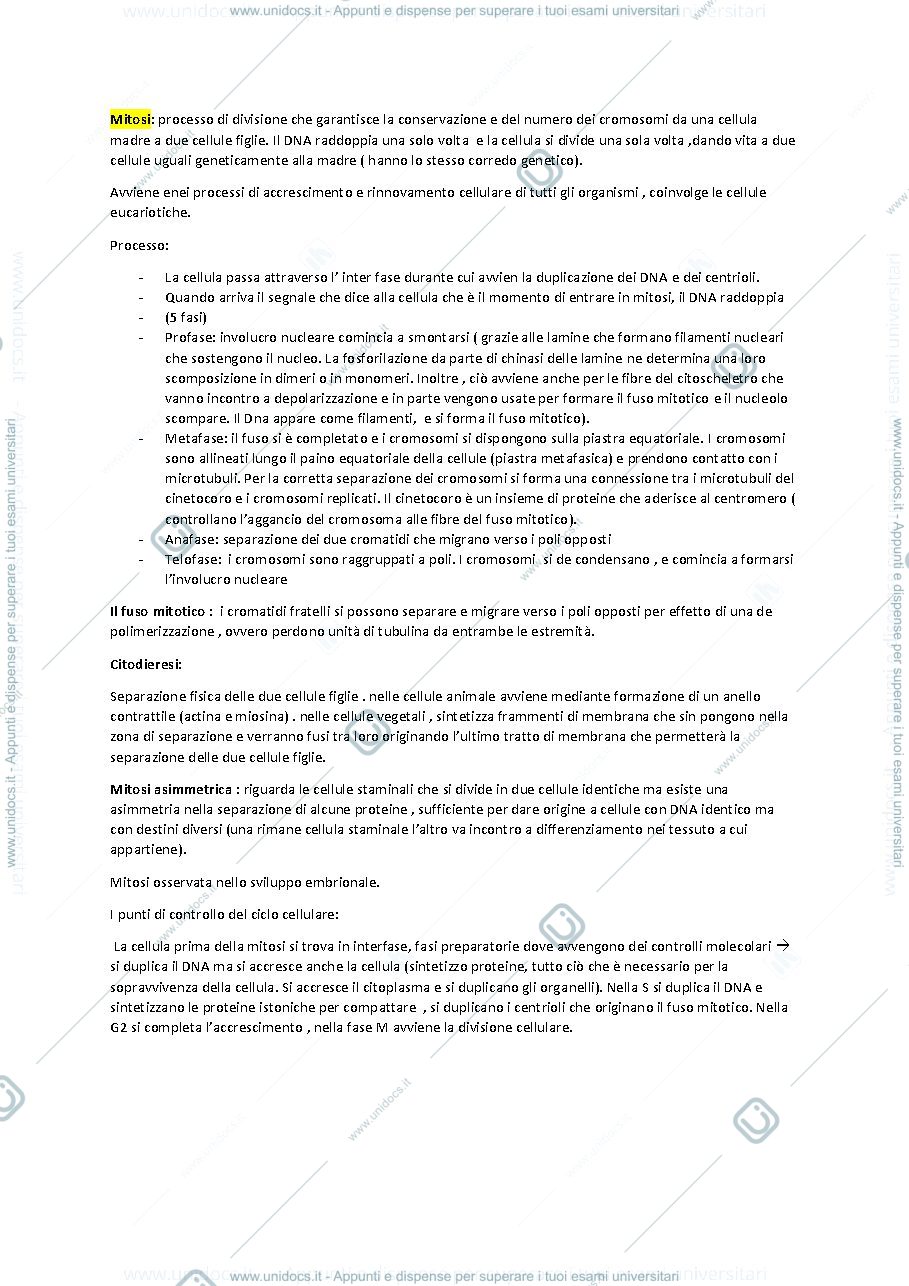 Anteprima pagina 2 — Il nucleo