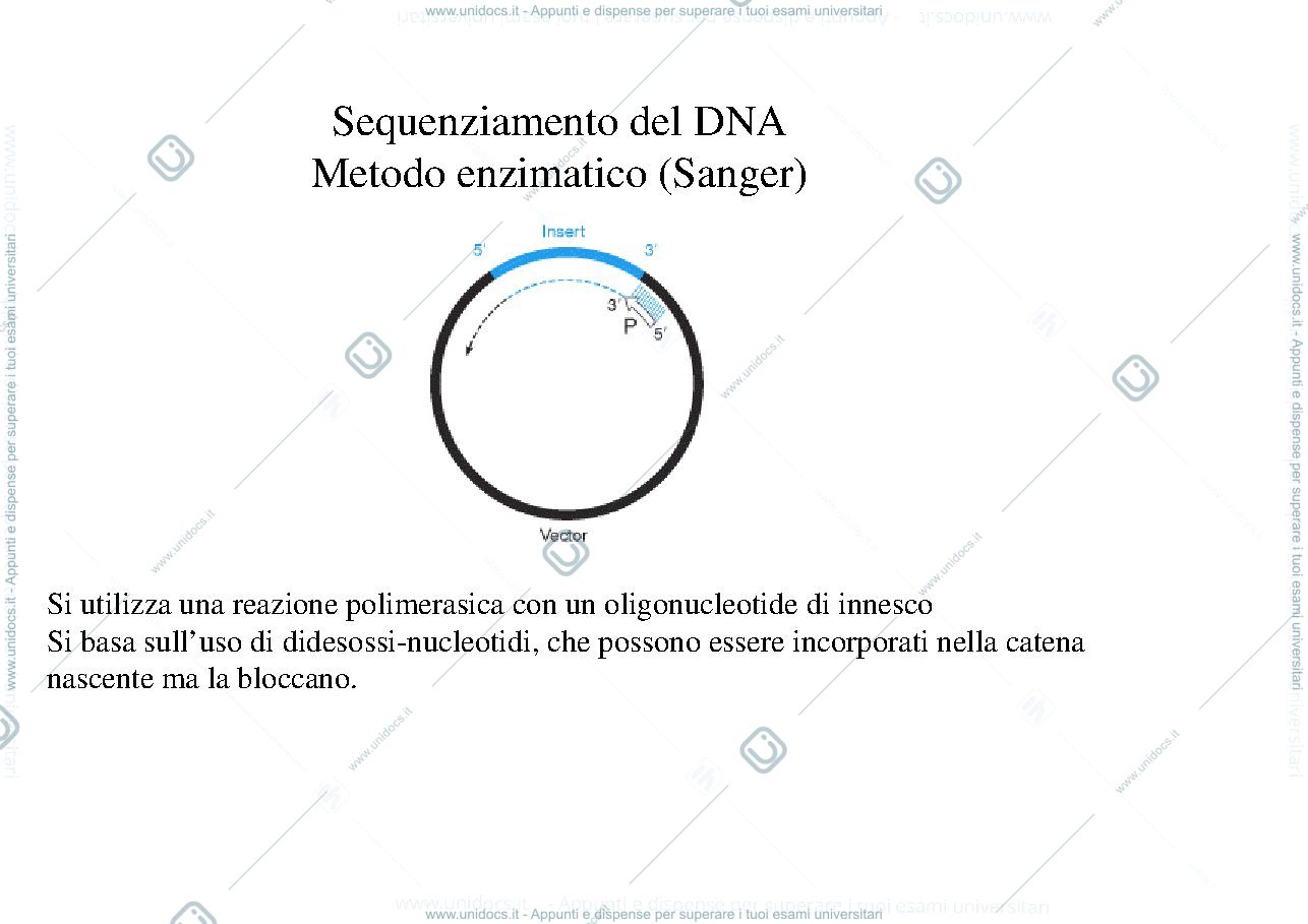 Anteprima pagina 2 — SEQUENZIAMENTO