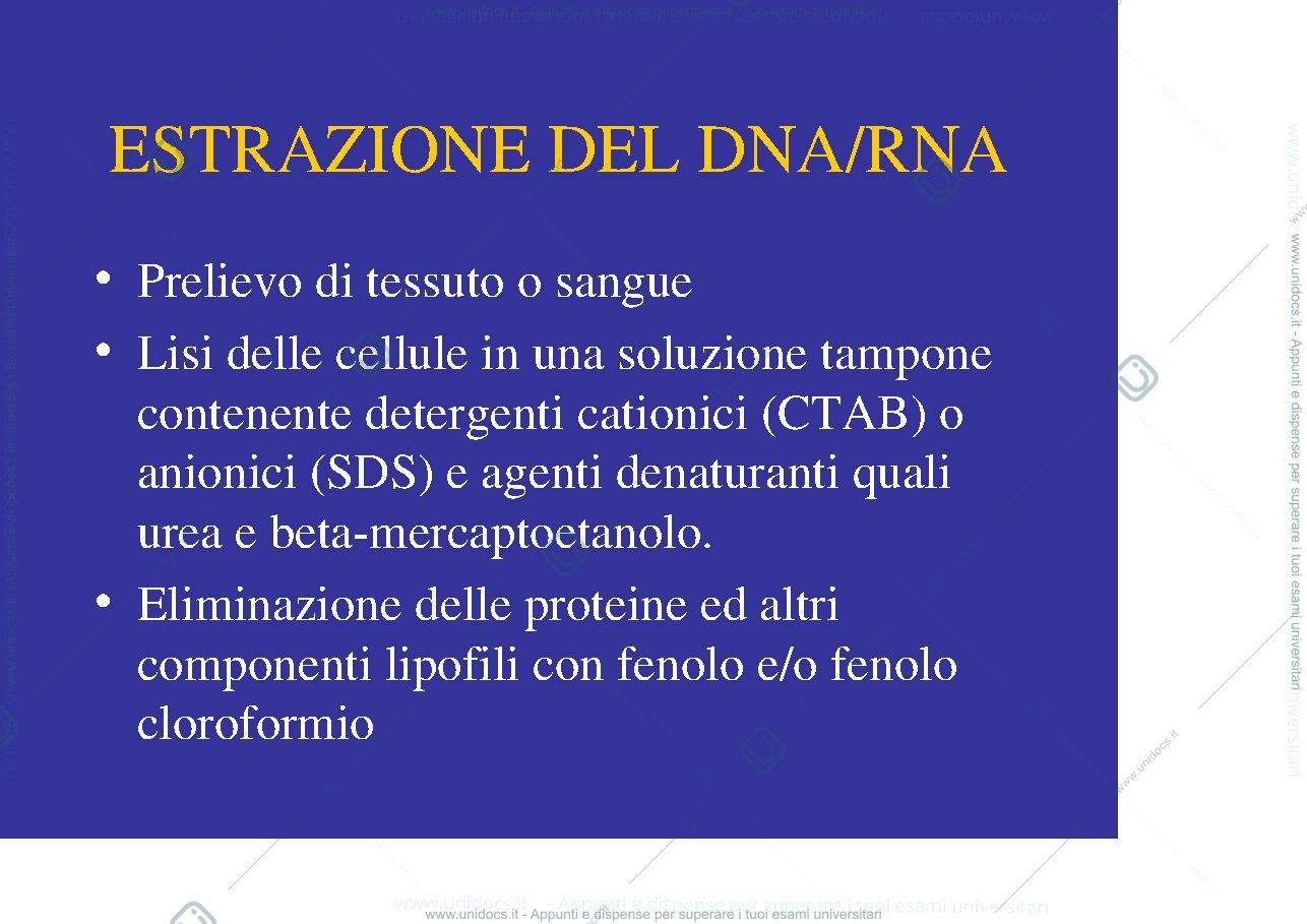 Anteprima pagina 1 — estrazione del DNA