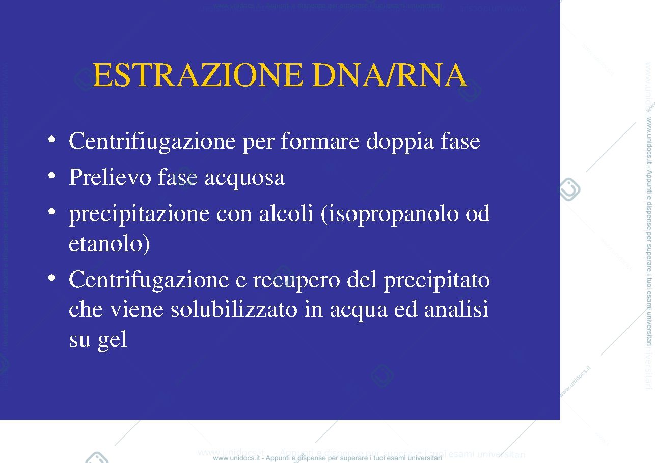 Anteprima pagina 2 — estrazione del DNA