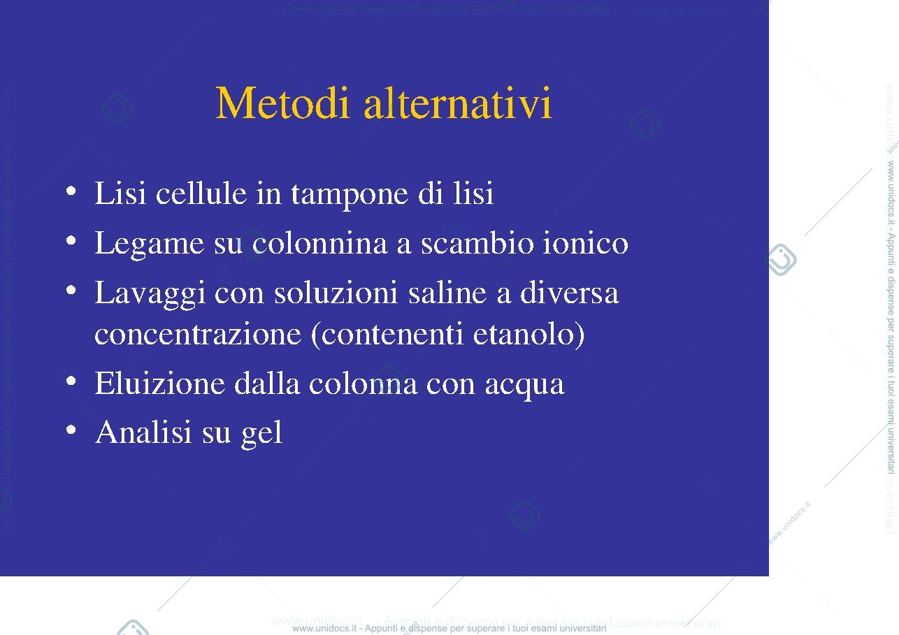 Anteprima pagina 3 — estrazione del DNA
