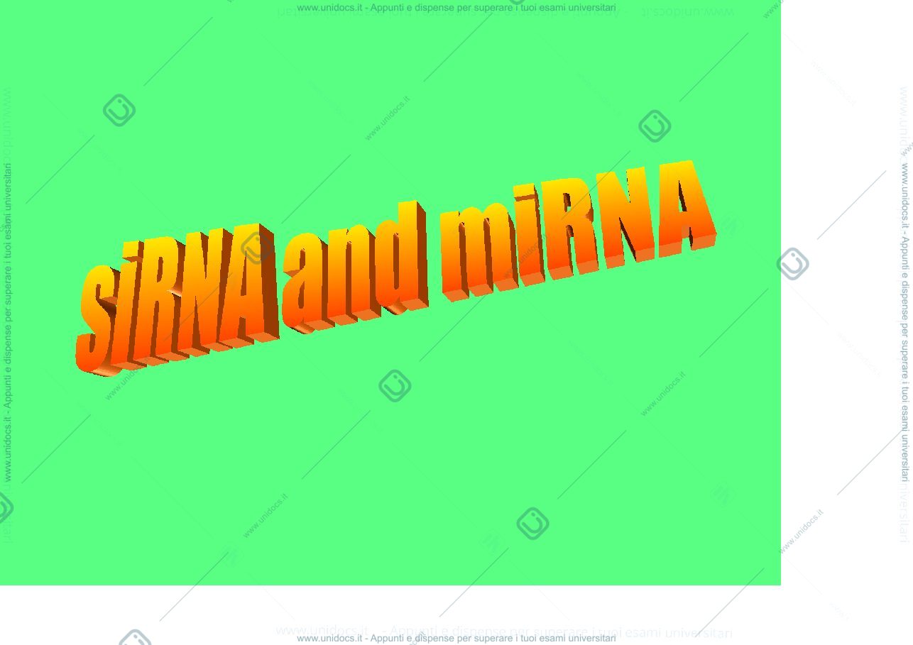 Anteprima pagina 1 — siRNA miRNA