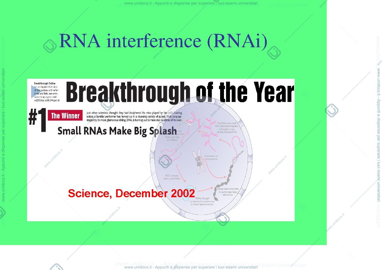 Anteprima pagina 2 — siRNA miRNA