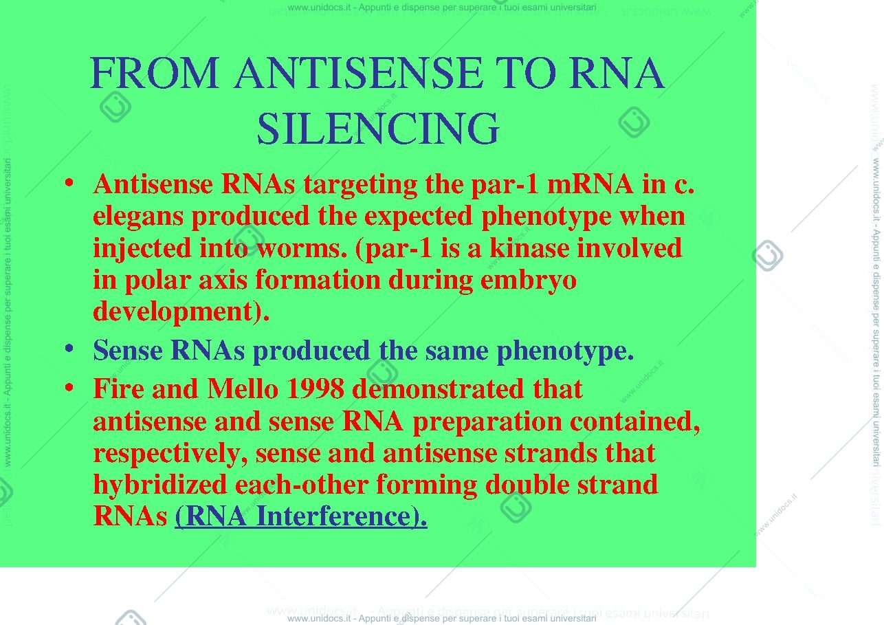 Anteprima pagina 3 — siRNA miRNA