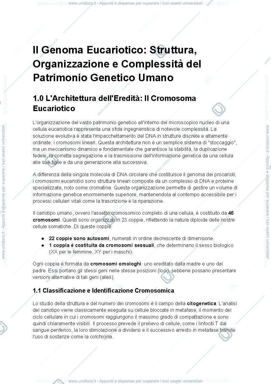 Anteprima pagina 1 — Biologia (UD2 semestre filtro): Il Genoma Eucariotico e l'Organizzazione del DNA