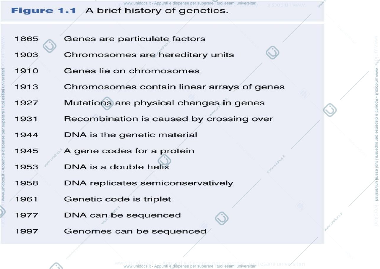 Anteprima pagina 2 — DNA