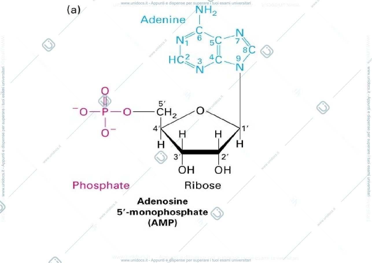 Anteprima pagina 3 — DNA
