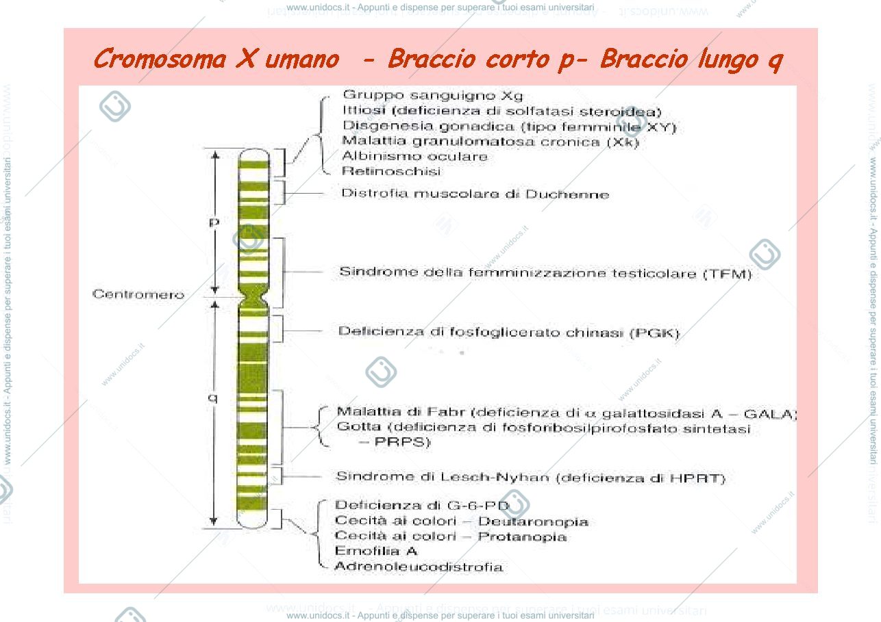 Anteprima pagina 1 — geni associati e distanza di mappa