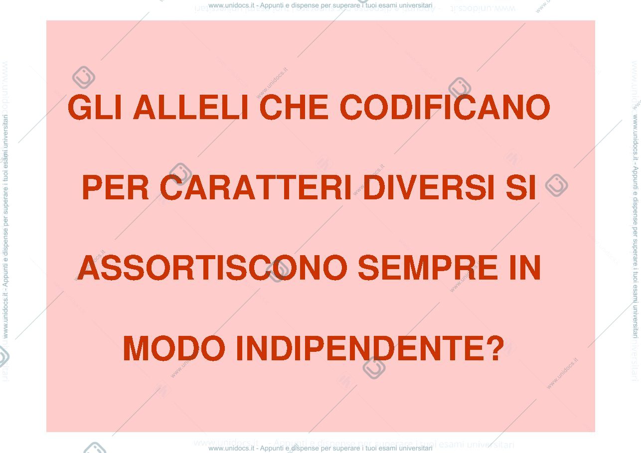 Anteprima pagina 2 — geni associati e distanza di mappa
