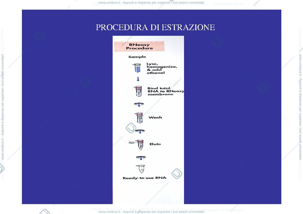 Anteprima pagina 1 — WESTERN