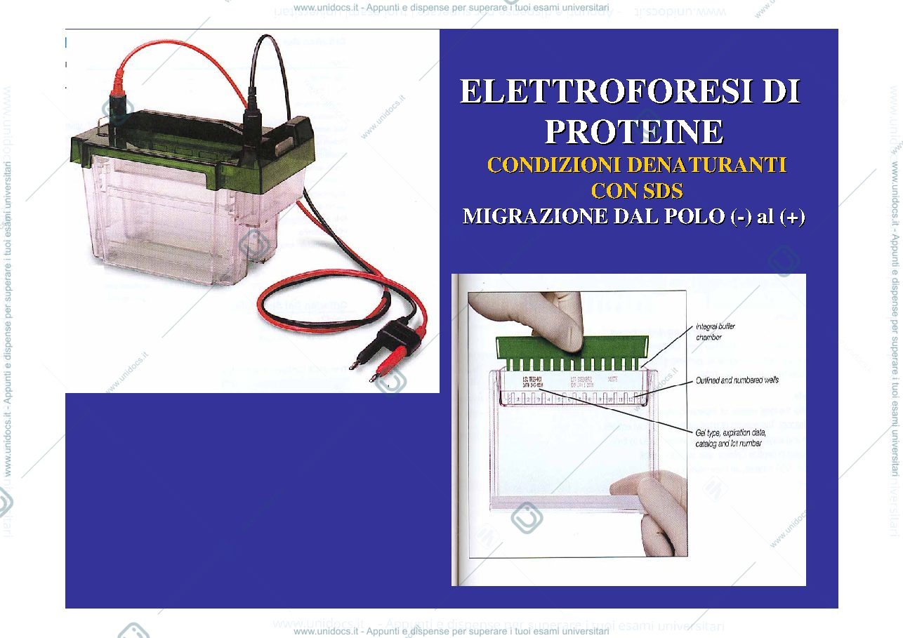 Anteprima pagina 2 — WESTERN