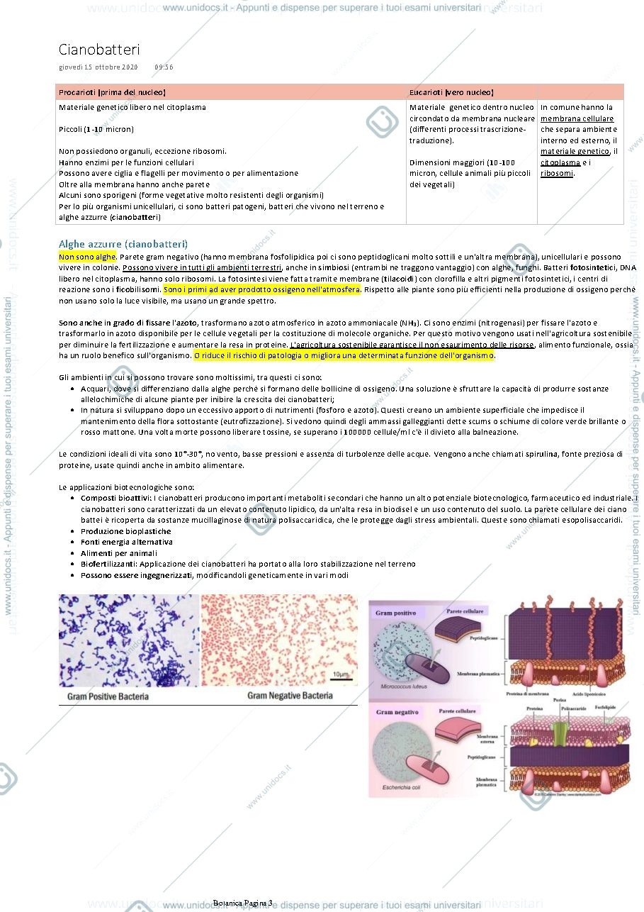 Anteprima pagina 3 — Botanica
