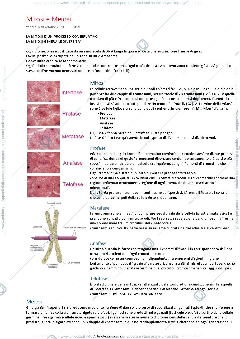 Anteprima pagina 1 — Embriologia