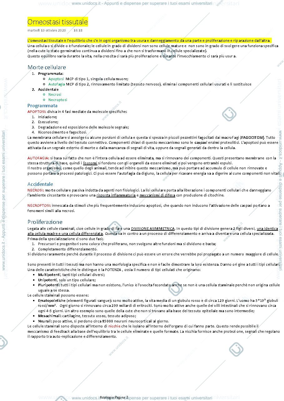 Anteprima pagina 2 — Istologia