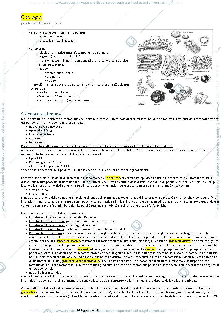 Anteprima pagina 3 — Istologia