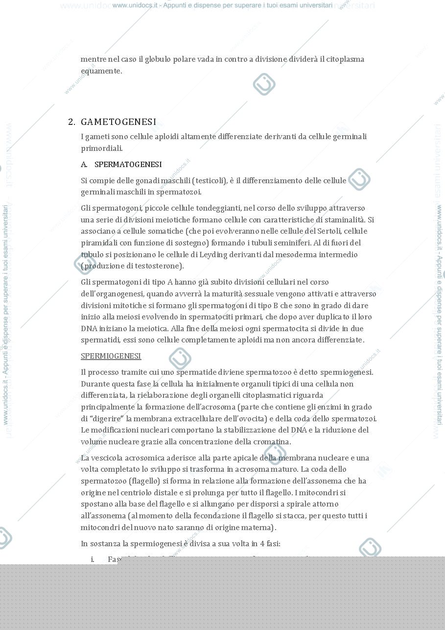 Anteprima pagina 3 — Appunti embriologia