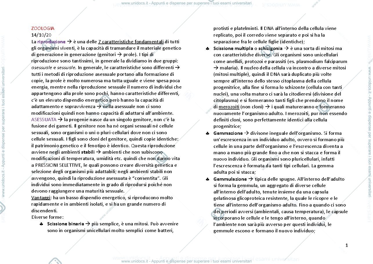 Anteprima pagina 1 — ZOOLOGIA