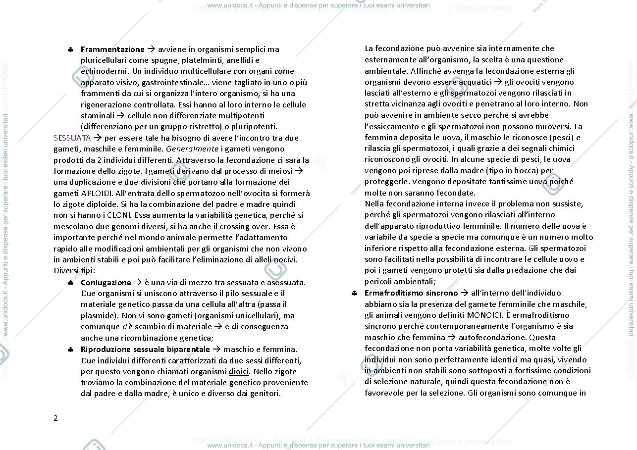 Anteprima pagina 2 — ZOOLOGIA