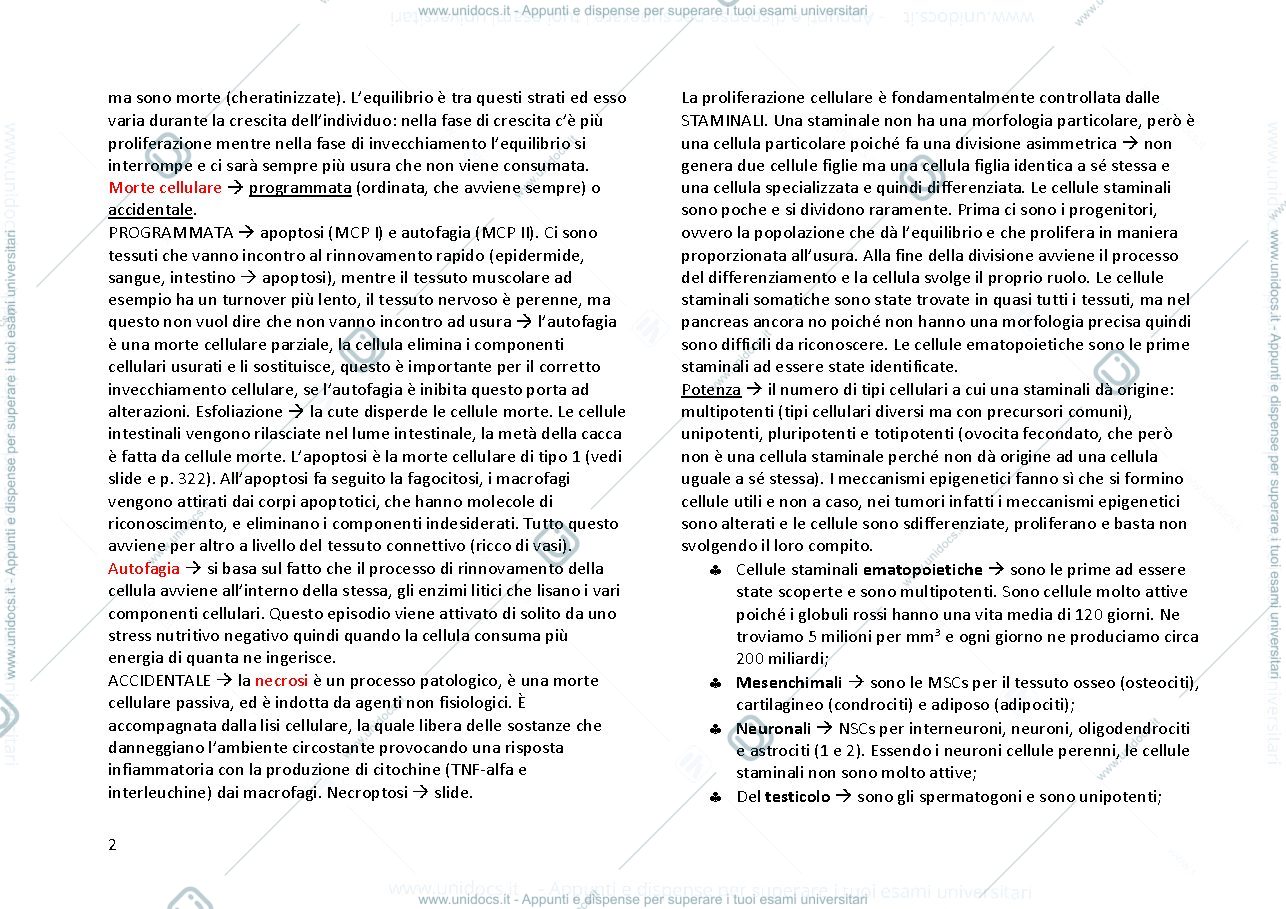 Anteprima pagina 2 — ISTOLOGIA ED EMBRIOLOGIA