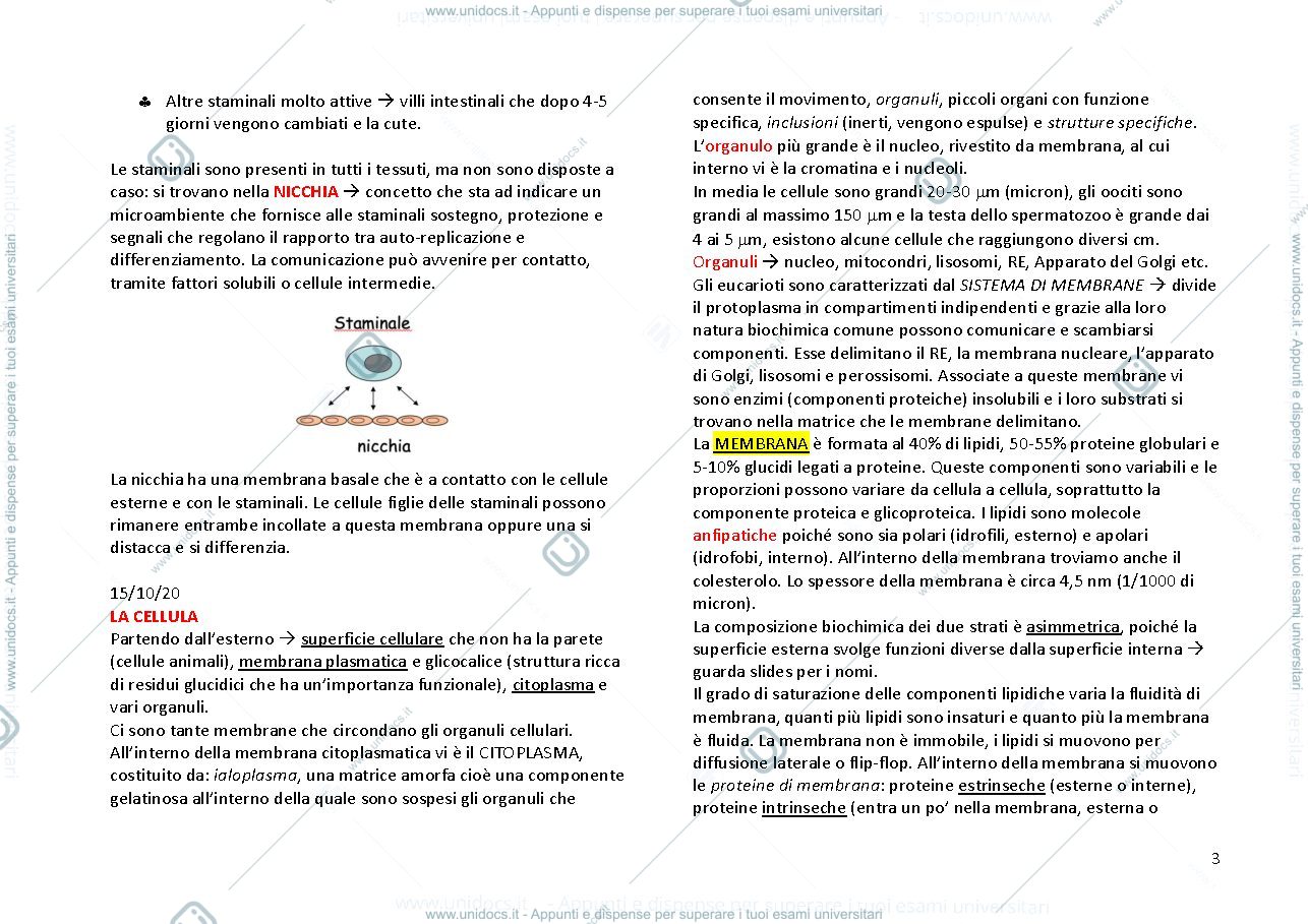 Anteprima pagina 3 — ISTOLOGIA ED EMBRIOLOGIA