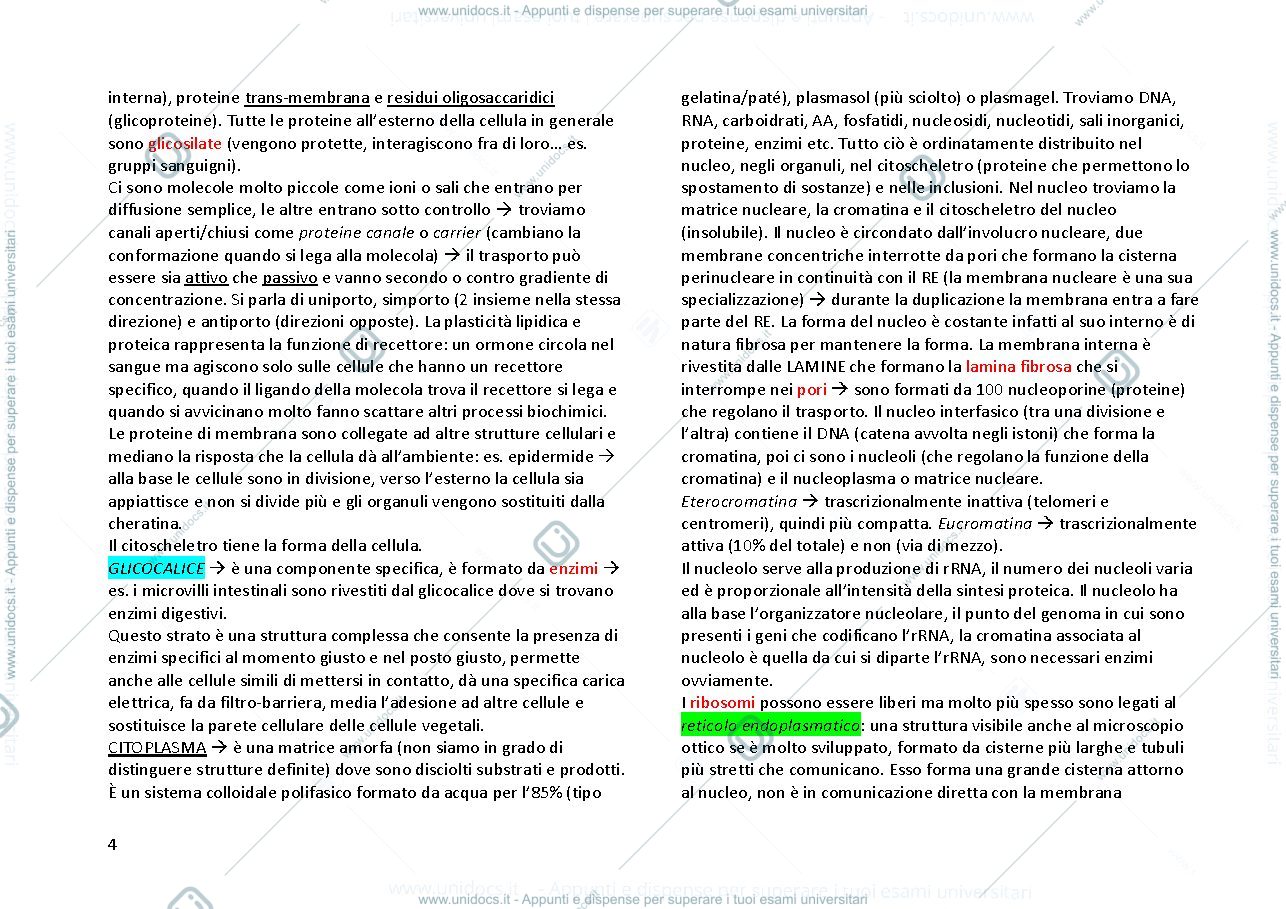 Anteprima pagina 4 — ISTOLOGIA ED EMBRIOLOGIA