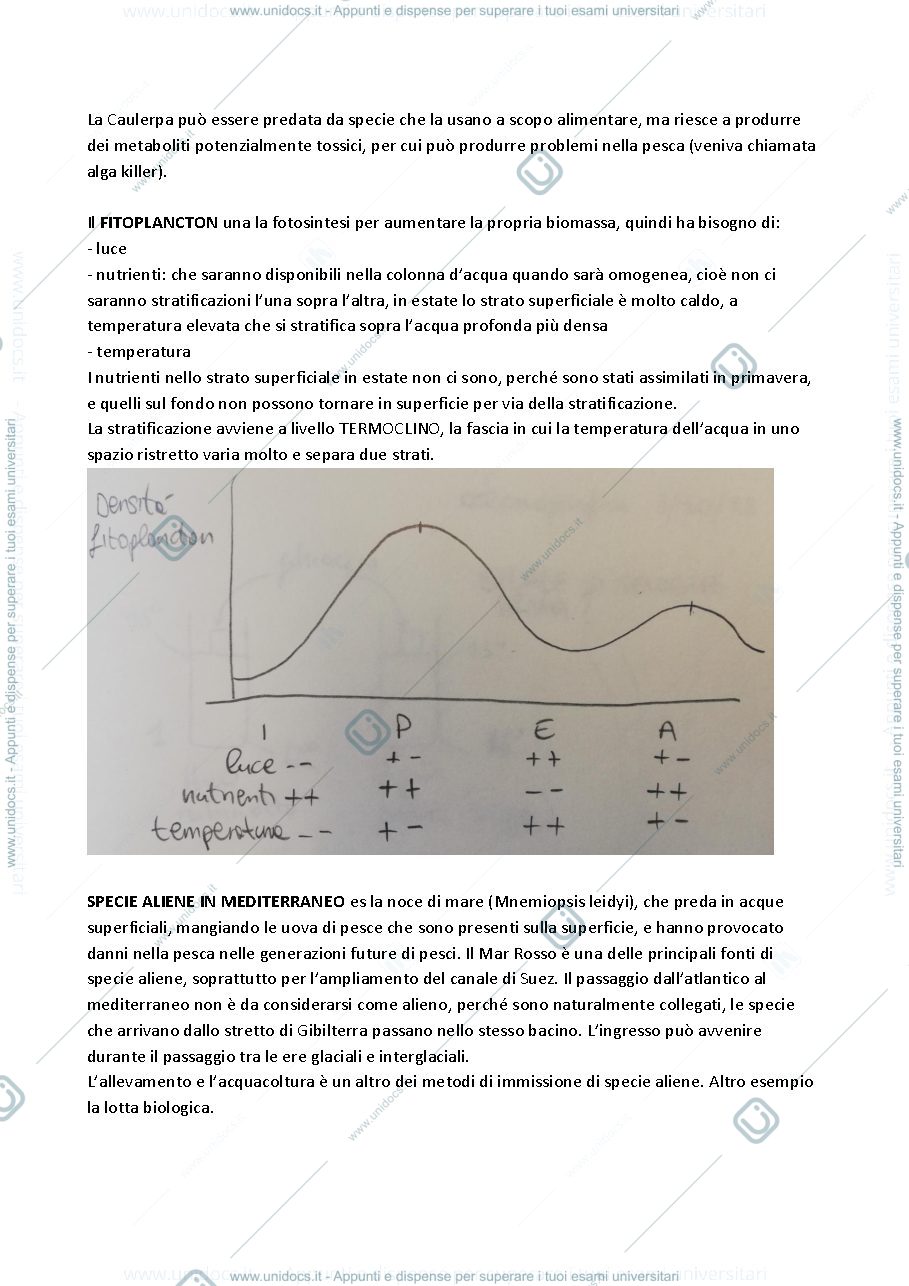 Anteprima pagina 4 — Appunti biologia marina