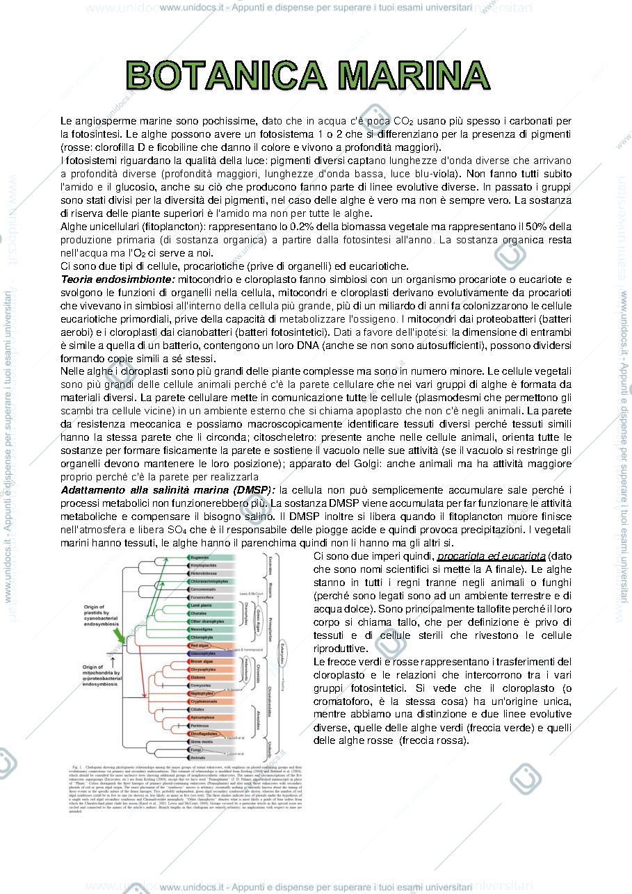 Anteprima pagina 1 — Biologia marina - mod. Botanica marina