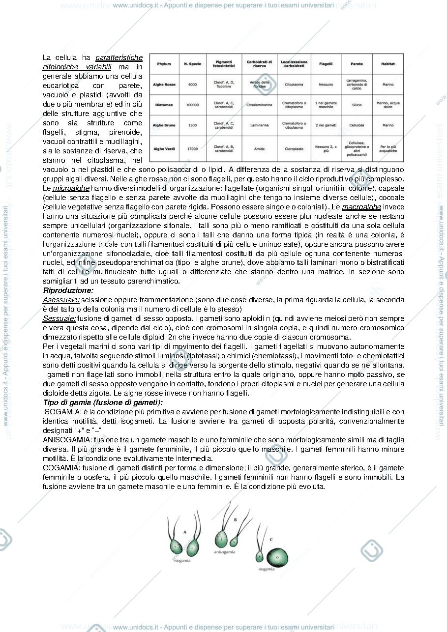 Anteprima pagina 2 — Biologia marina - mod. Botanica marina