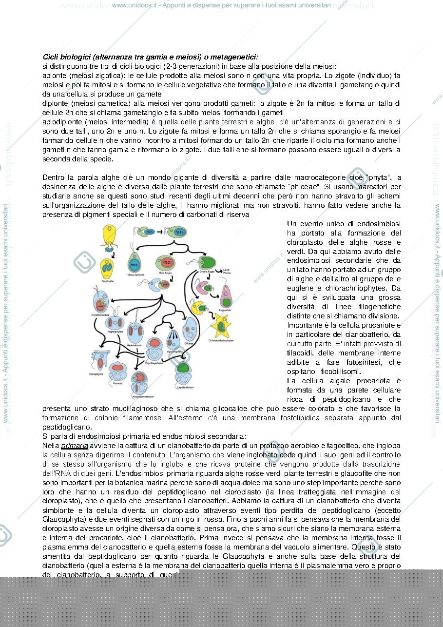 Anteprima pagina 3 — Biologia marina - mod. Botanica marina