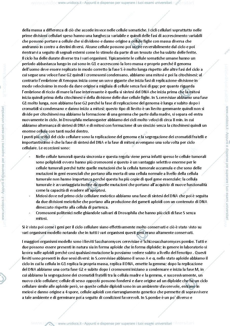 Anteprima pagina 3 — LEZIONI BIOLOGIA MOLECOLARE