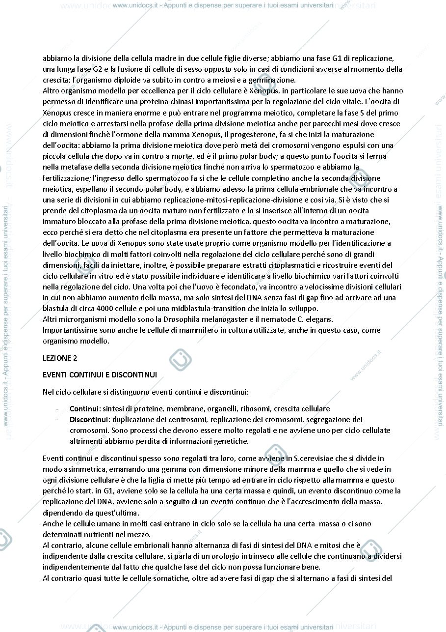 Anteprima pagina 4 — LEZIONI BIOLOGIA MOLECOLARE