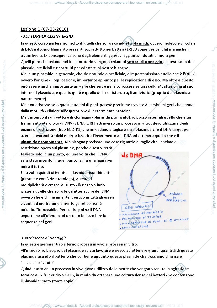 Anteprima pagina 3 — sbobine biologia molecolare applicata