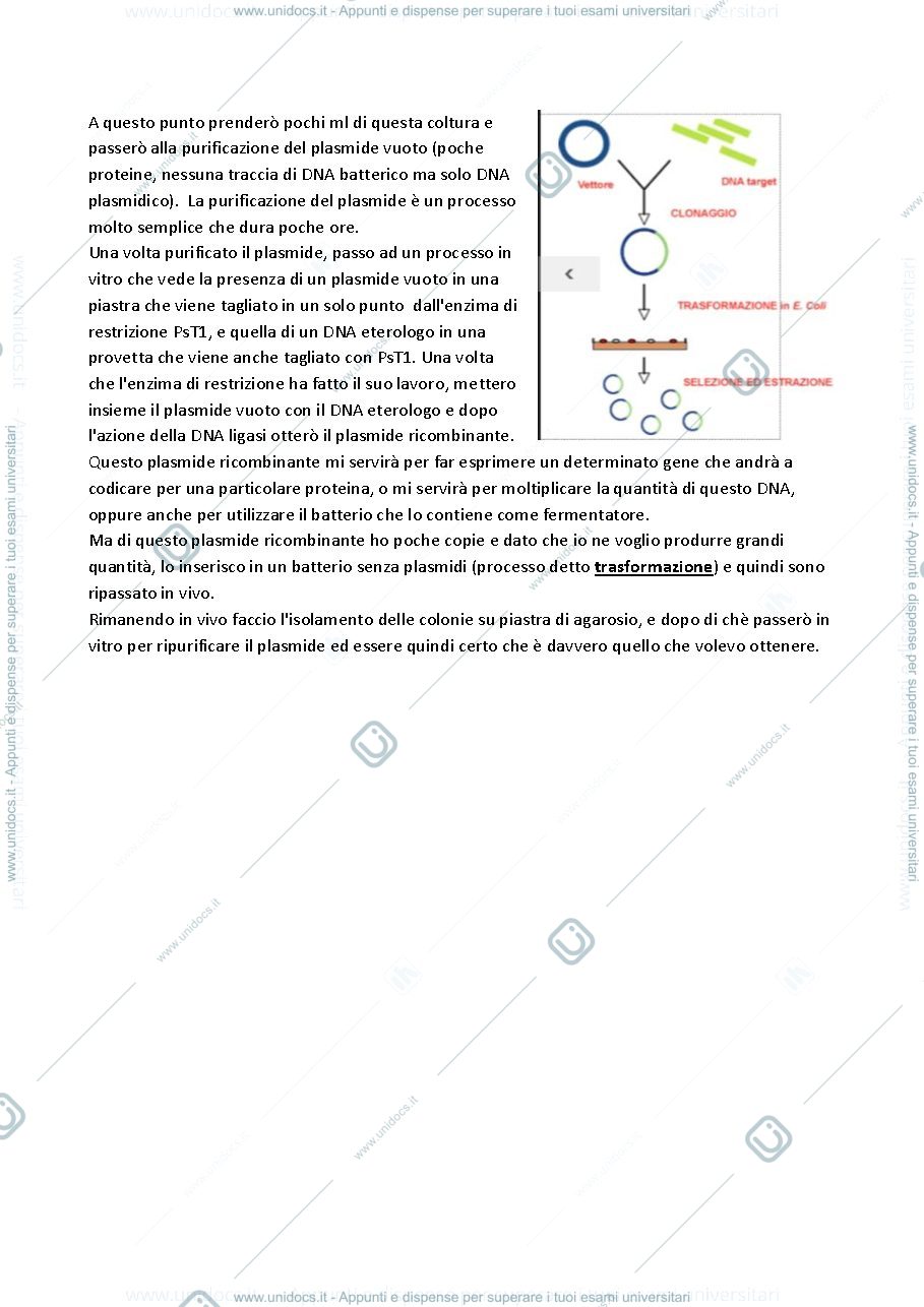 Anteprima pagina 4 — sbobine biologia molecolare applicata