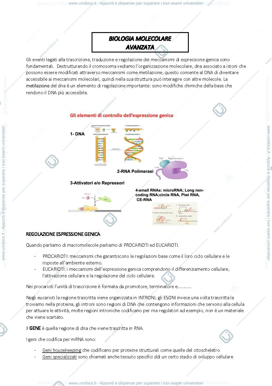 Anteprima pagina 1 — BMA 
