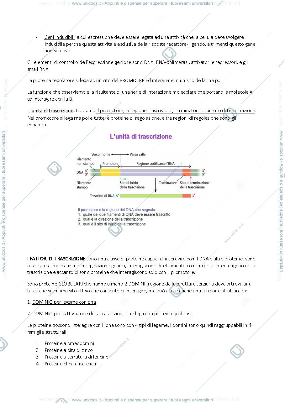Anteprima pagina 2 — BMA 