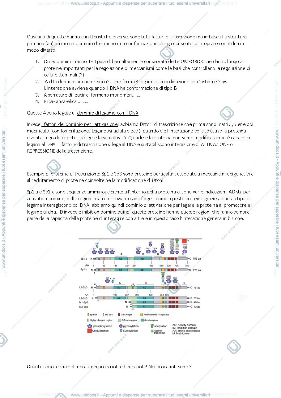 Anteprima pagina 3 — BMA 