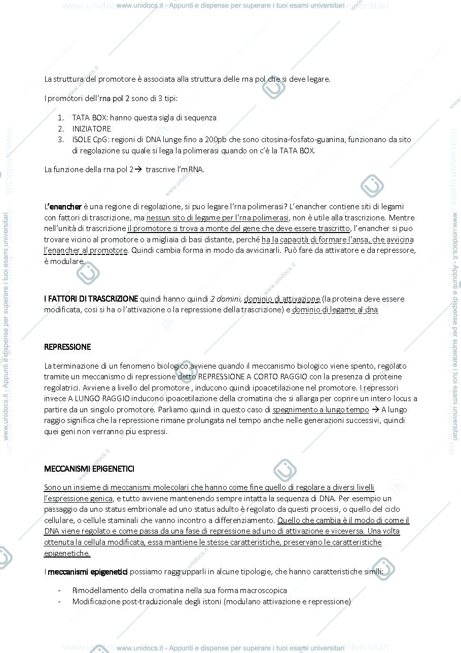 Anteprima pagina 4 — BMA 