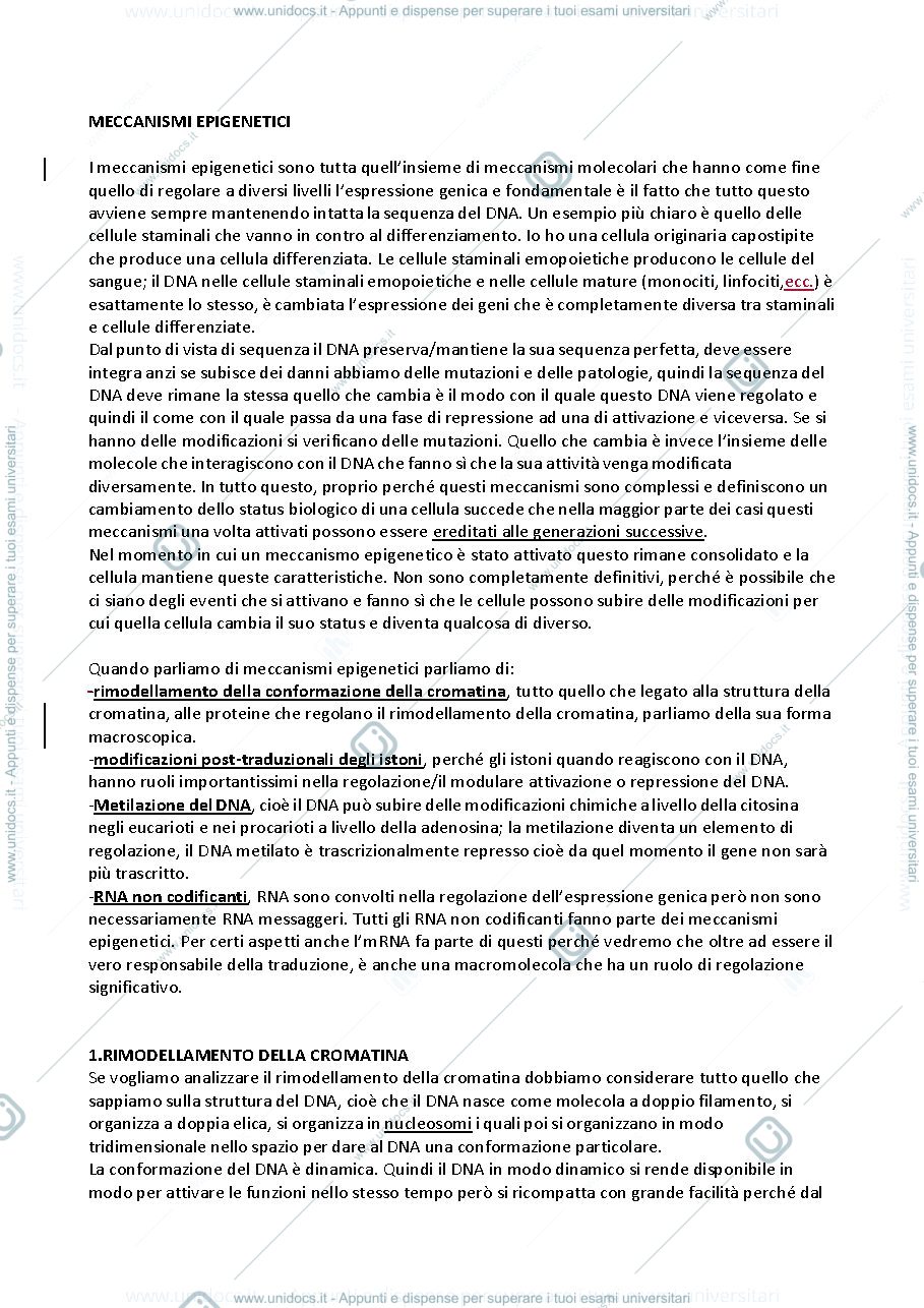 Anteprima pagina 1 — Biologia Molecolare Avanzata