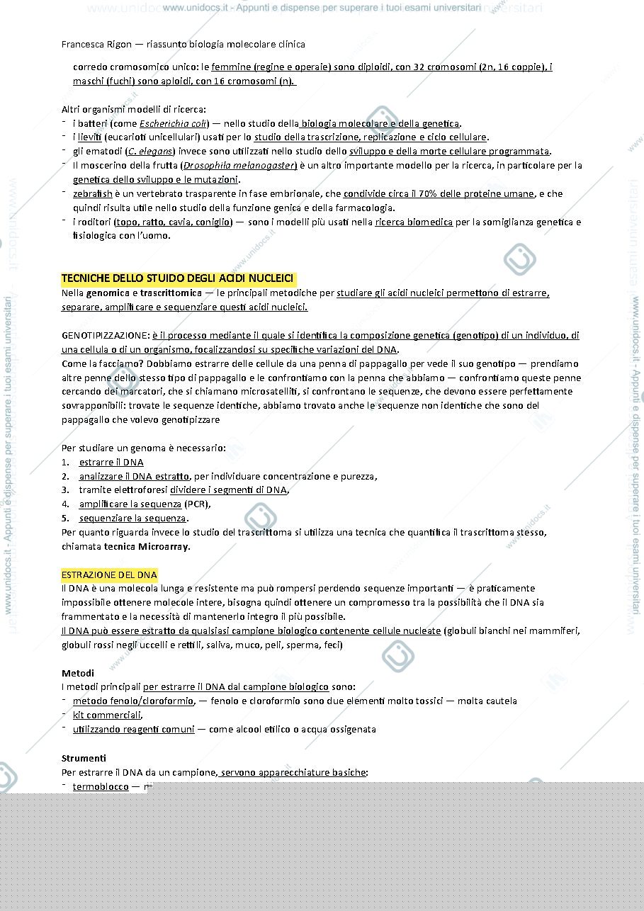 Anteprima pagina 3 — BIOLOGIA MOLECOLARE CLINICA