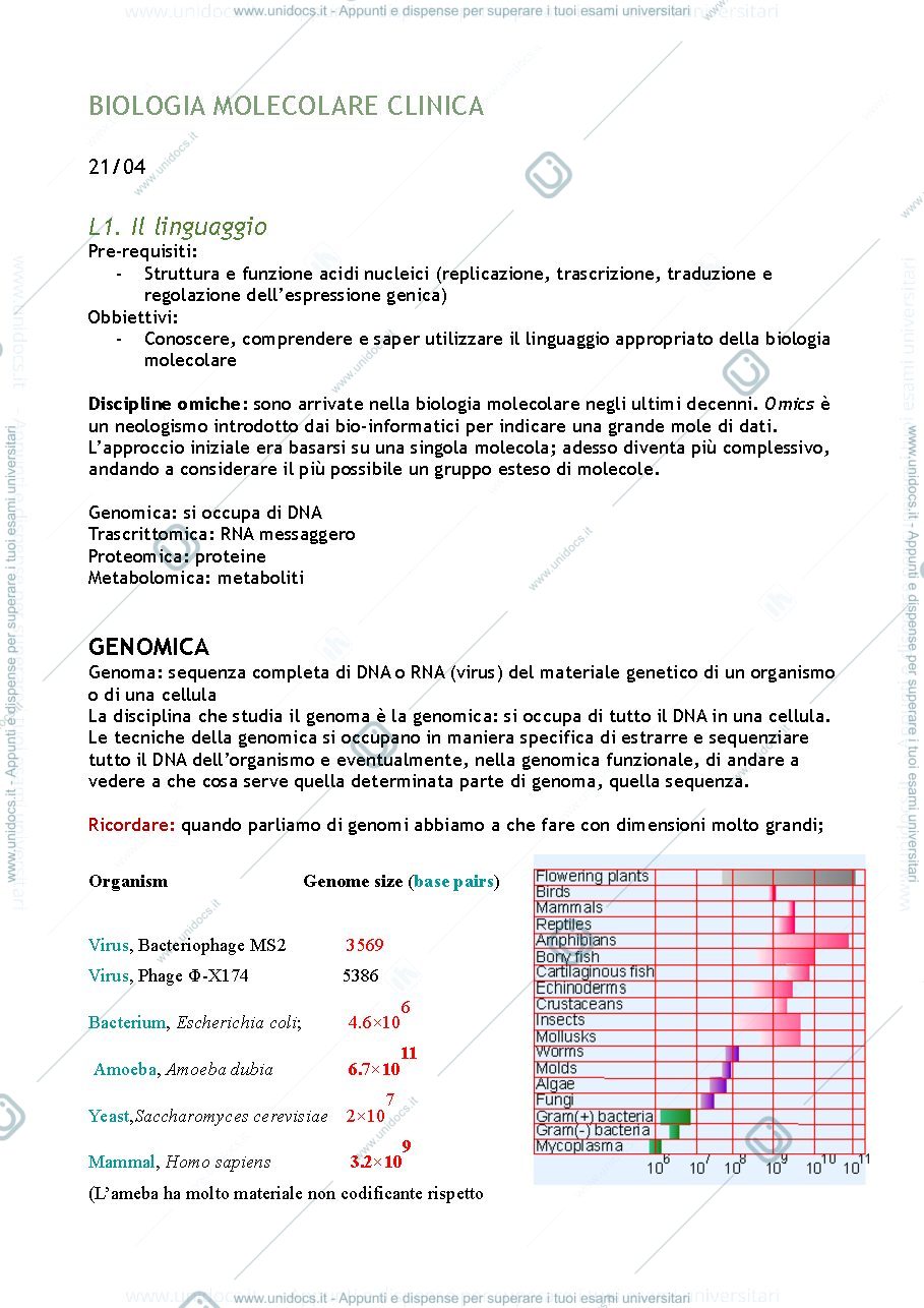 Anteprima pagina 1 — sbobine biologia molecolare clinica