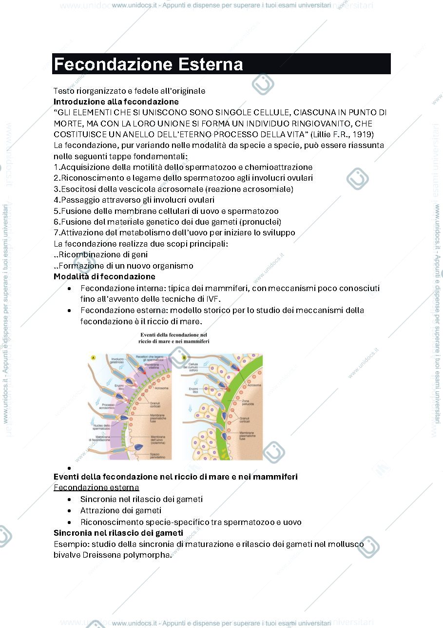 Anteprima pagina 1 — Fecondazione esterna 