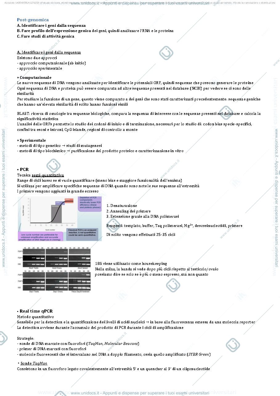 Anteprima pagina 4 — Biologia molecolare degli eucarioti