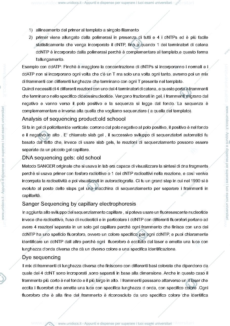 Anteprima pagina 4 — Biologia molecolare degli eucarioti
