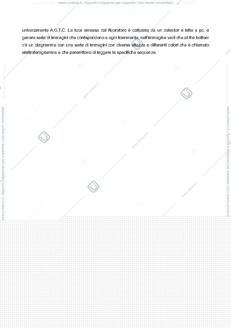 Anteprima pagina 5 — Biologia molecolare degli eucarioti