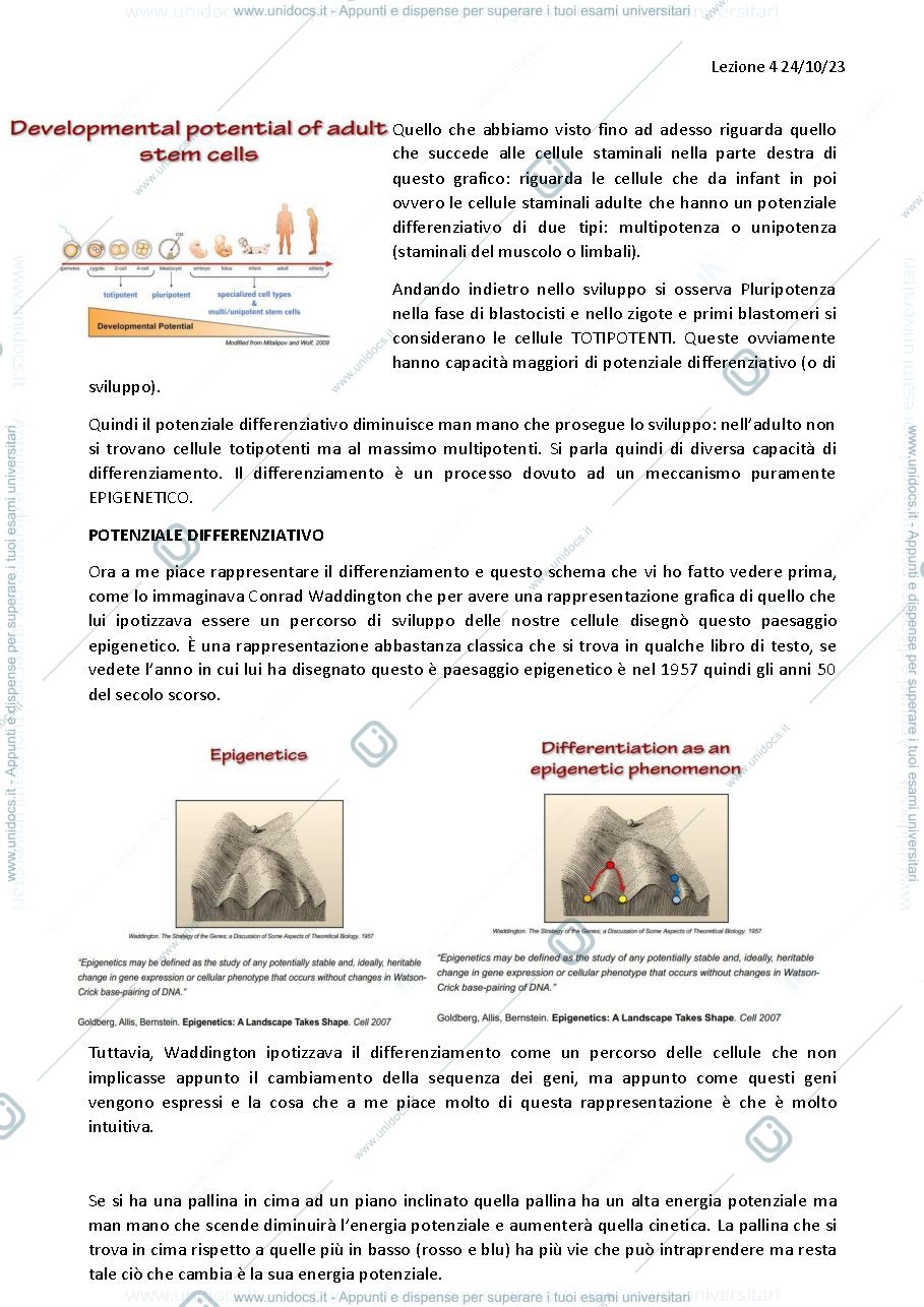 Anteprima pagina 1 — LEZIONE 4